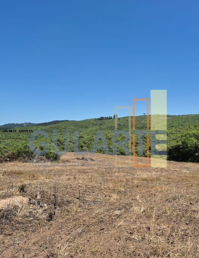 Fazenda, 375 hectares - Foto 7