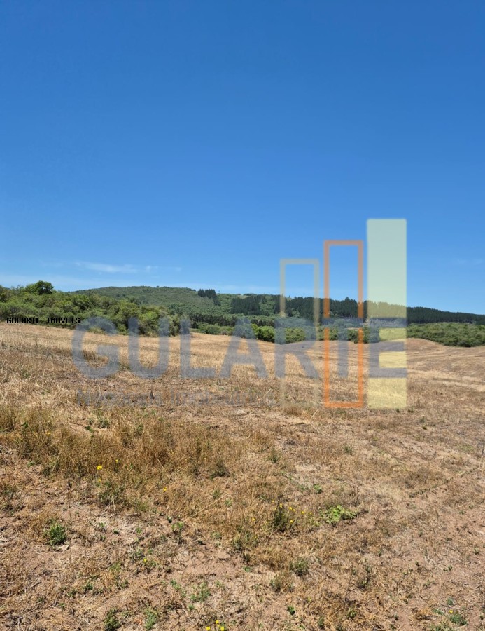 Fazenda, 375 hectares - Foto 8