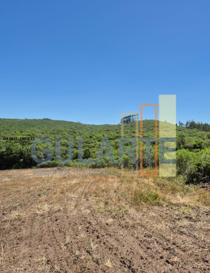 Fazenda, 375 hectares - Foto 9