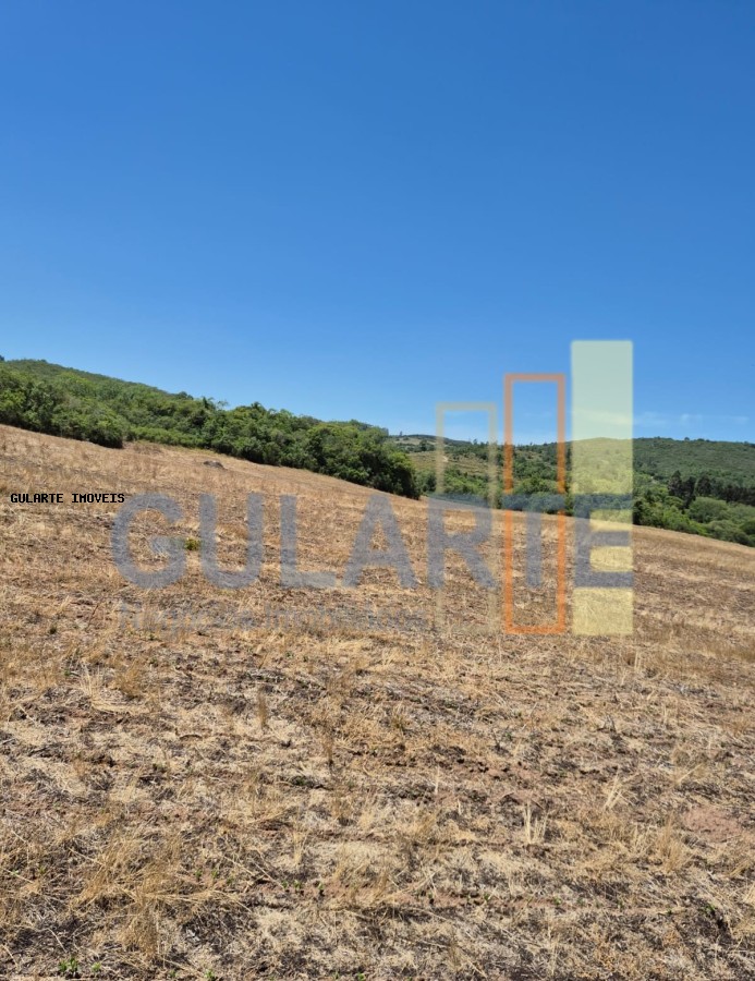 Fazenda, 375 hectares - Foto 11