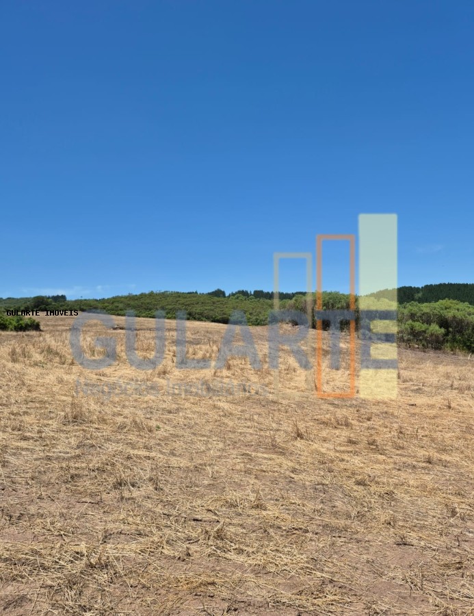 Fazenda, 375 hectares - Foto 13