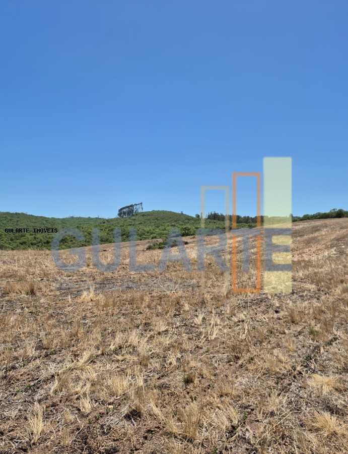 Fazenda, 375 hectares - Foto 14