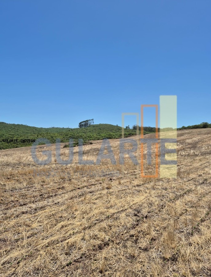 Fazenda, 375 hectares - Foto 15