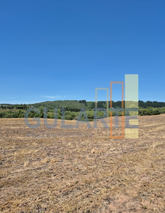 Fazenda, 375 hectares - Foto 16