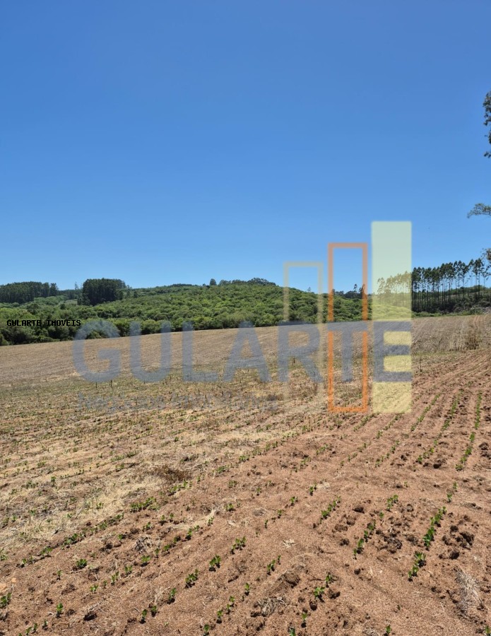 Fazenda, 375 hectares - Foto 17