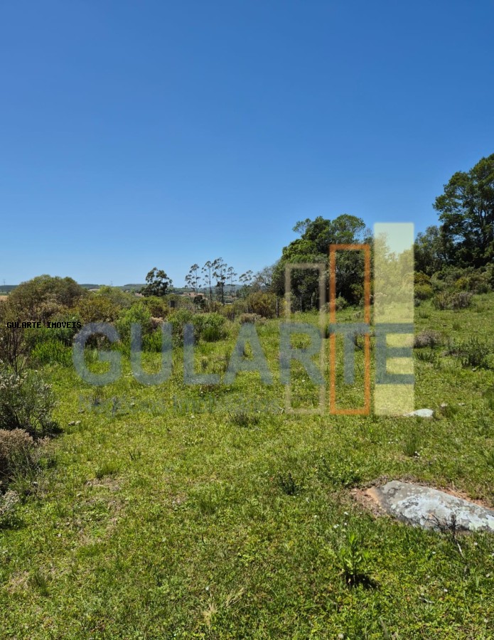 Fazenda, 375 hectares - Foto 18