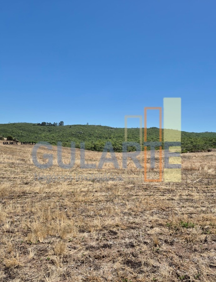 Fazenda, 375 hectares - Foto 20