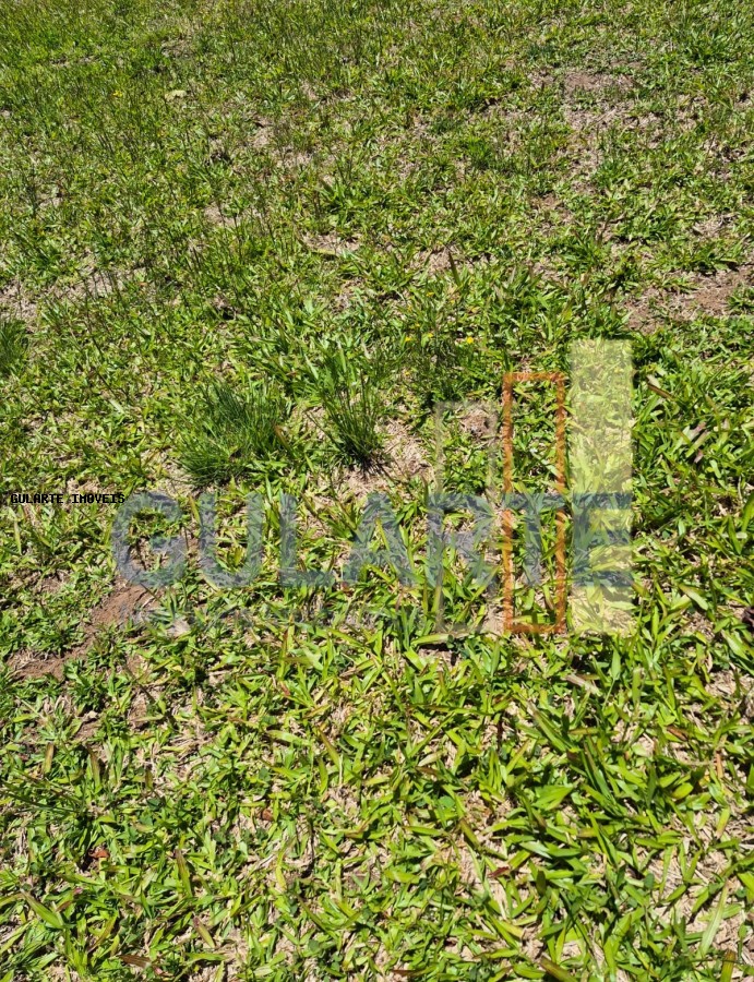 Fazenda, 375 hectares - Foto 23