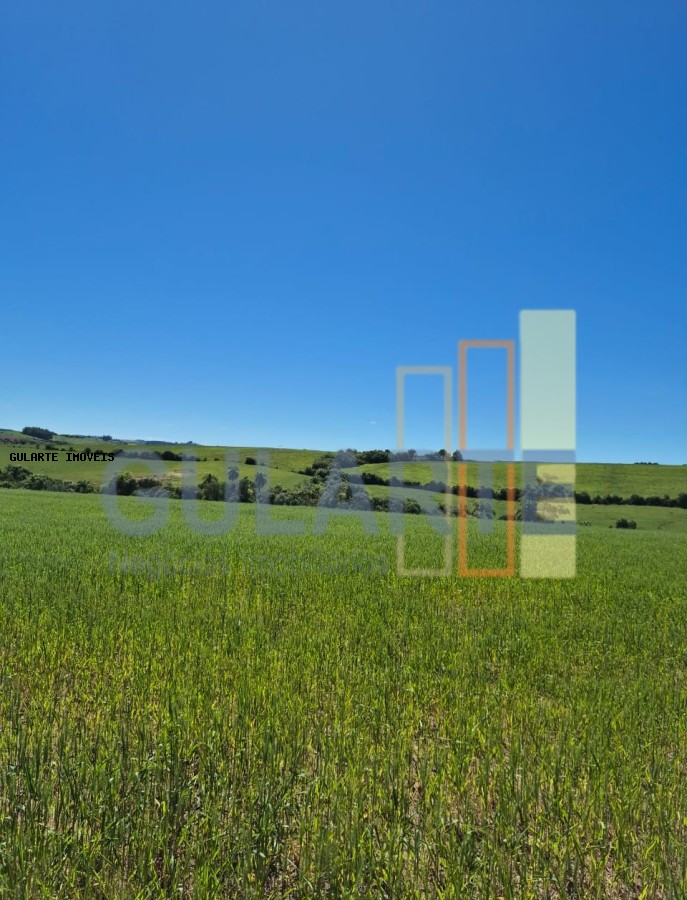 Terreno, 106 hectares - Foto 3