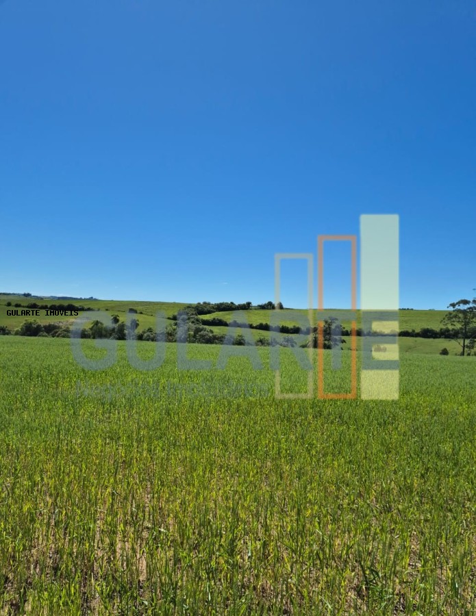 Terreno, 106 hectares - Foto 1