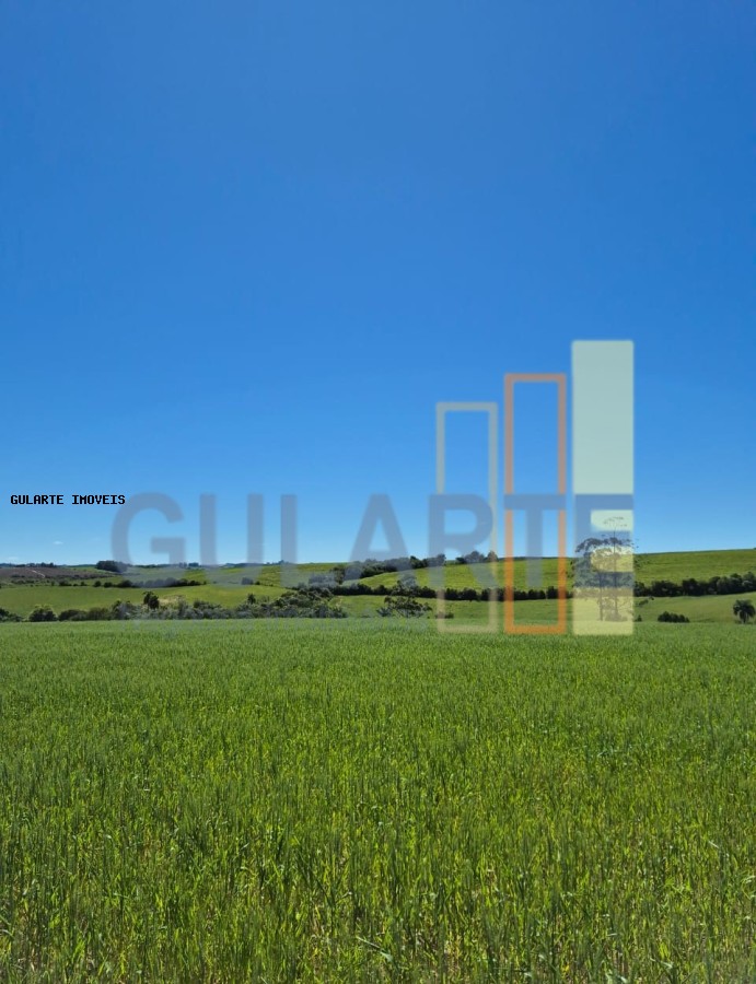 Terreno, 106 hectares - Foto 2