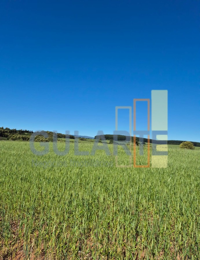 Terreno, 106 hectares - Foto 4