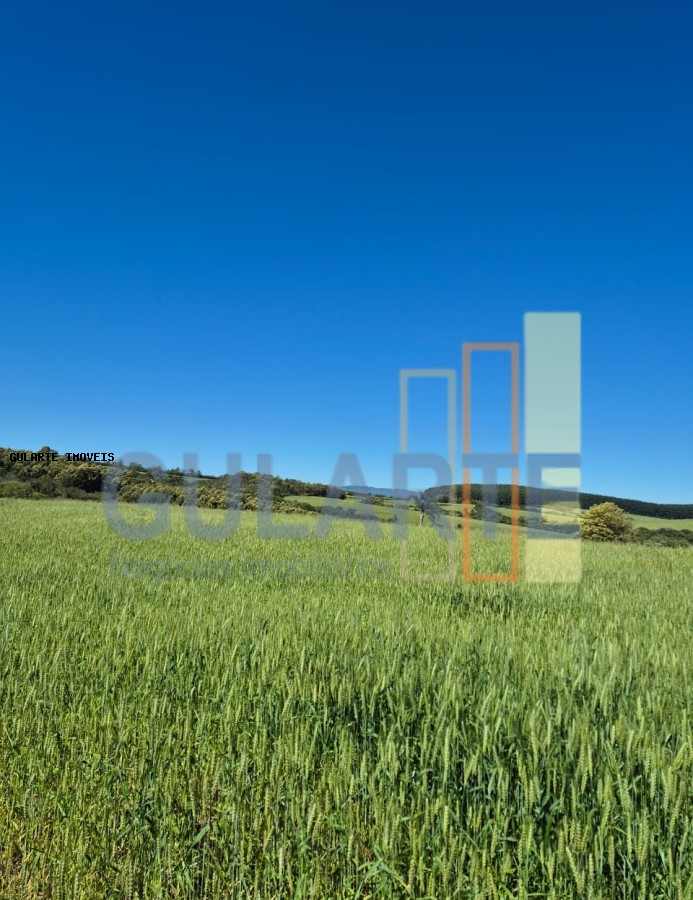 Terreno, 106 hectares - Foto 6