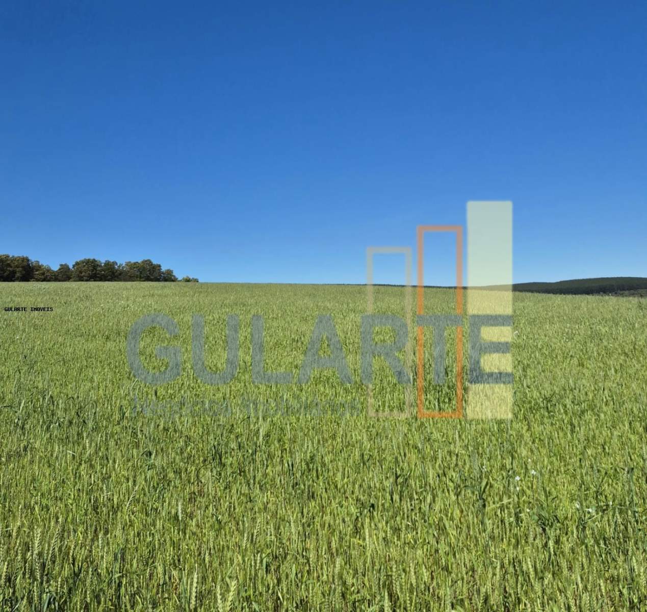 Terreno, 106 hectares - Foto 9