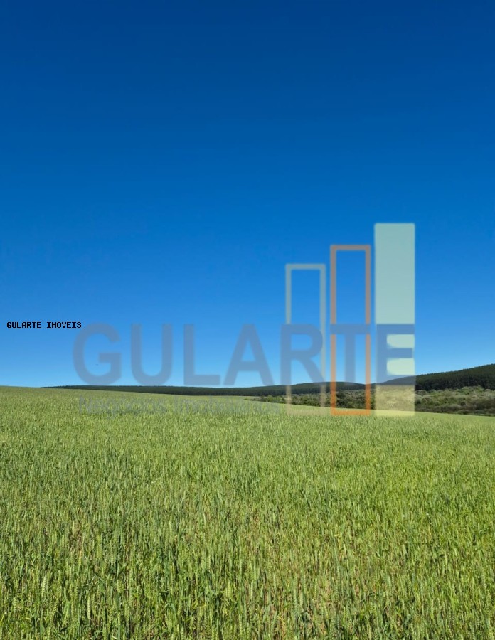 Terreno, 106 hectares - Foto 8