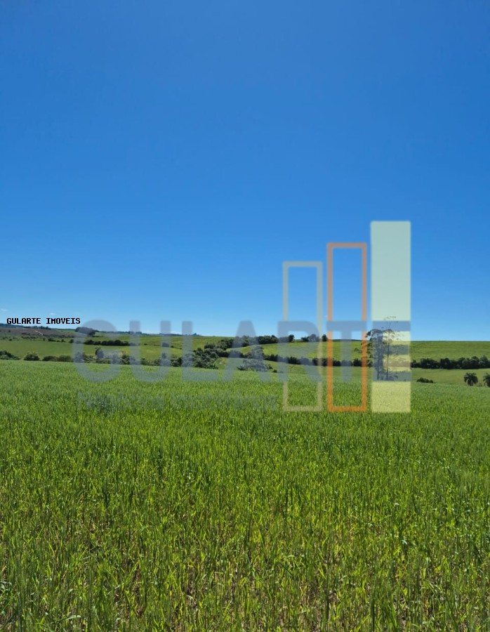 Terreno, 106 hectares - Foto 7