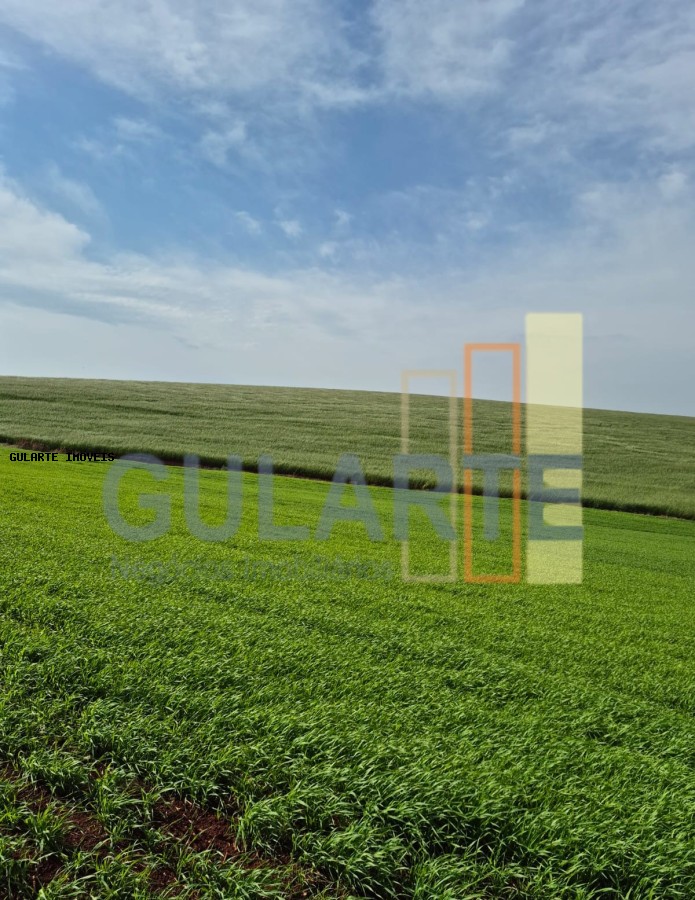 Terreno, 63 hectares - Foto 1