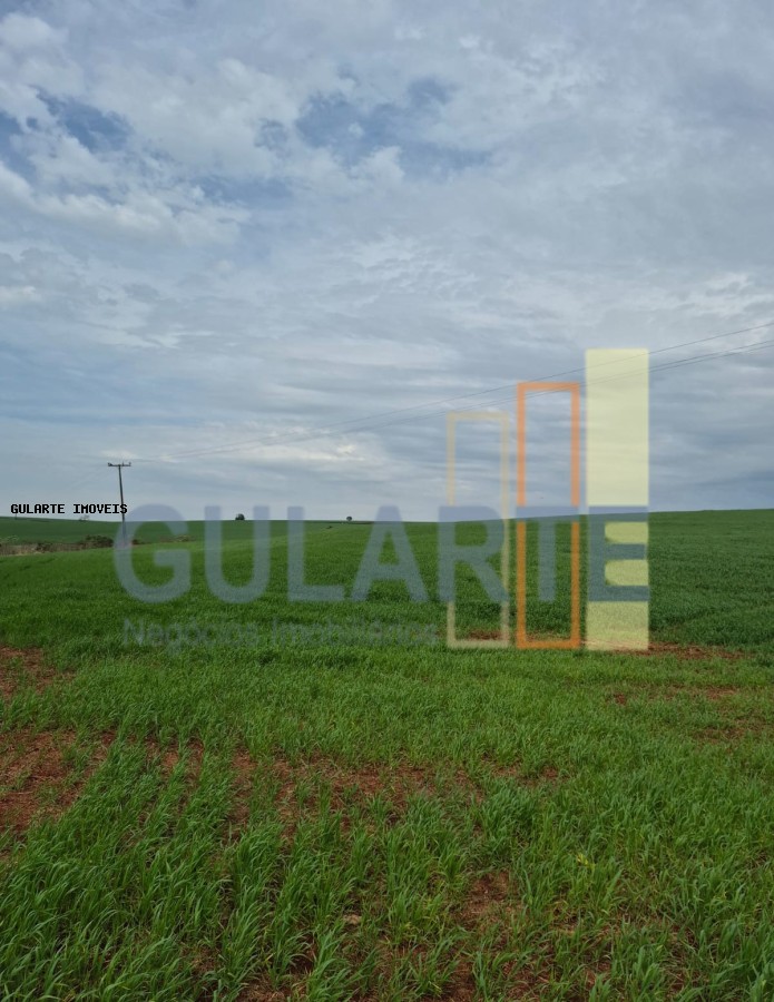 Terreno, 63 hectares - Foto 4