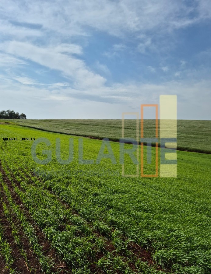 Terreno, 63 hectares - Foto 3