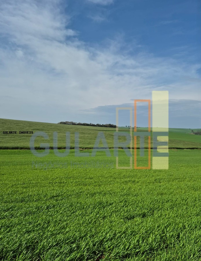 Terreno, 63 hectares - Foto 2