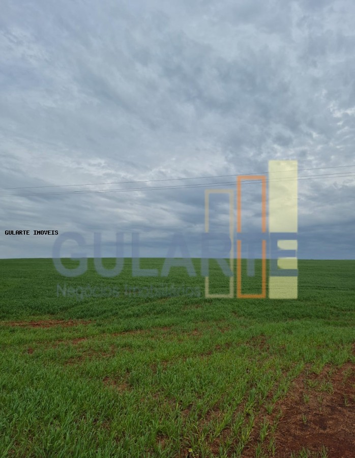 Terreno, 63 hectares - Foto 6