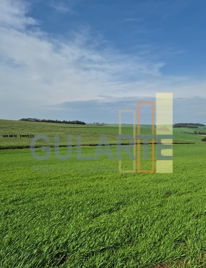 Terreno, 63 hectares - Foto 7