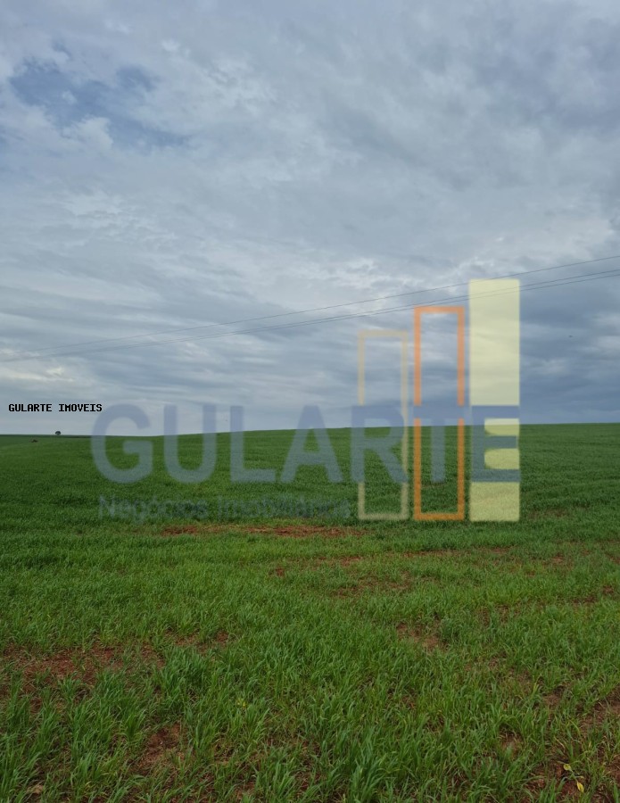 Terreno, 63 hectares - Foto 5