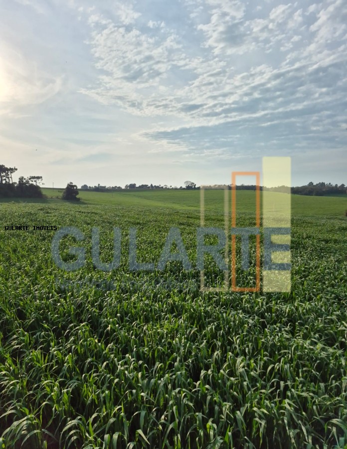 Terreno, 94 hectares - Foto 1