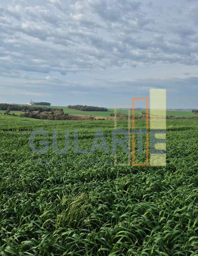 Terreno, 94 hectares - Foto 3