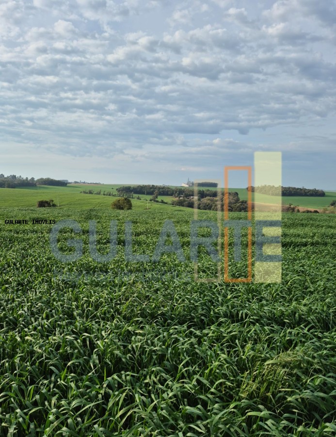 Terreno, 94 hectares - Foto 2