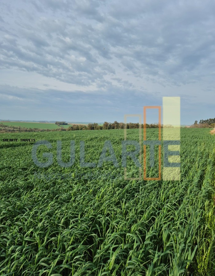 Terreno, 94 hectares - Foto 5