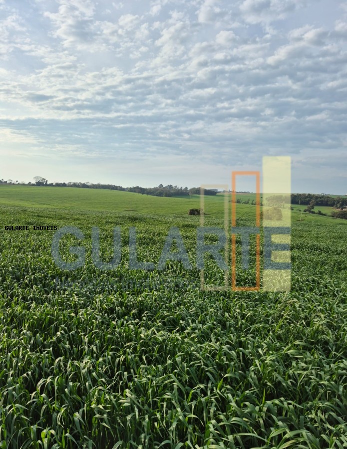 Terreno, 94 hectares - Foto 4