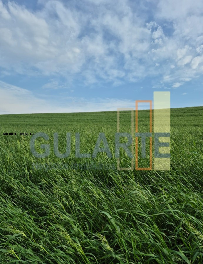 Terreno, 94 hectares - Foto 8