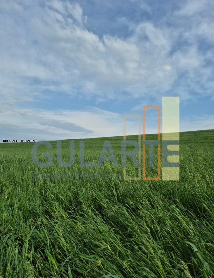 Terreno, 94 hectares - Foto 7