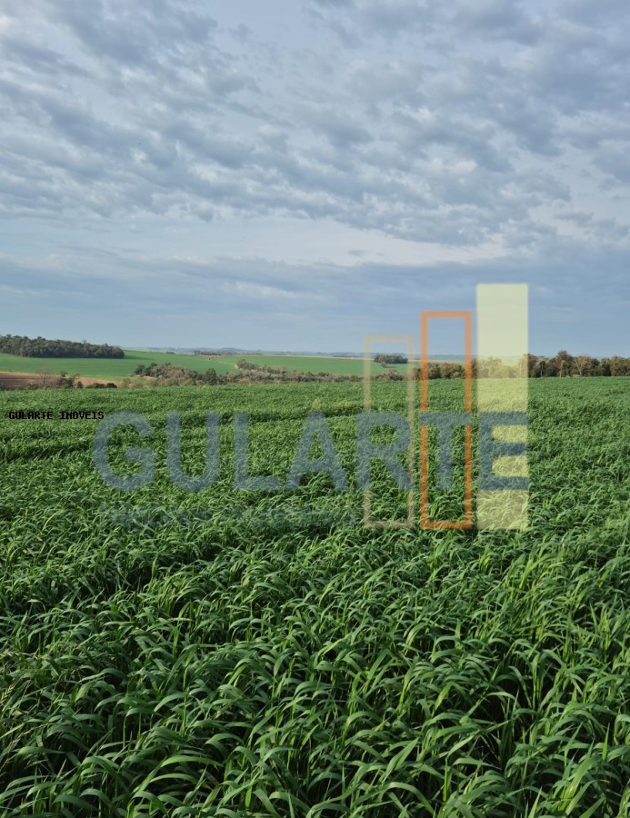 Terreno, 94 hectares - Foto 6