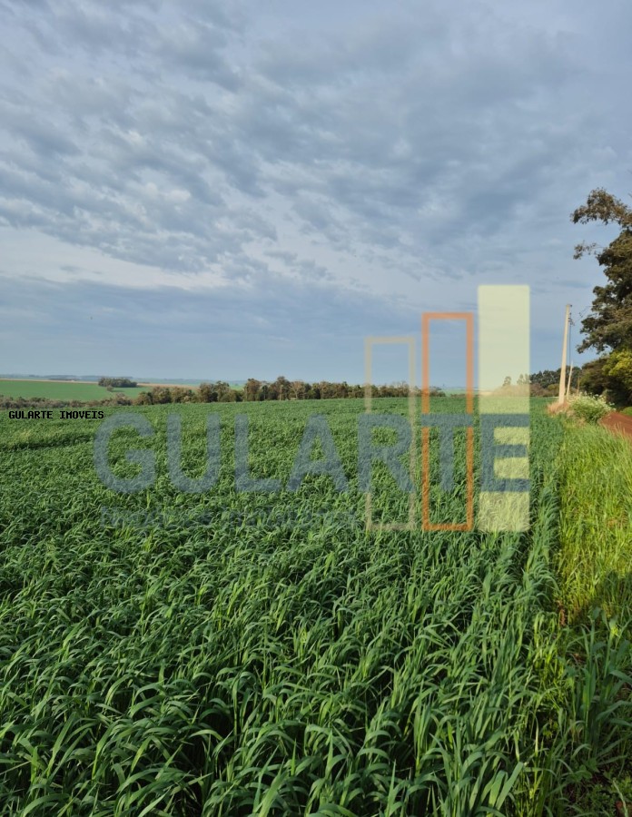 Terreno, 94 hectares - Foto 9