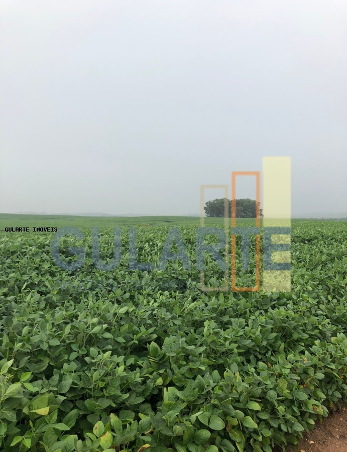 Fazenda, 825 hectares - Foto 1