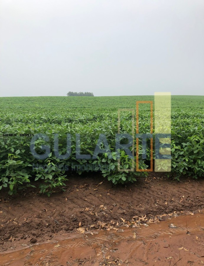 Fazenda, 825 hectares - Foto 2