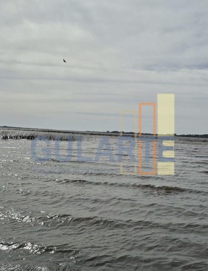 Terreno, 10 hectares - Foto 10