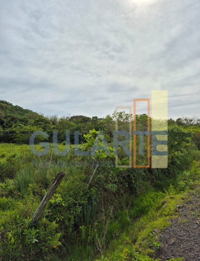 Terreno, 10 hectares - Foto 1