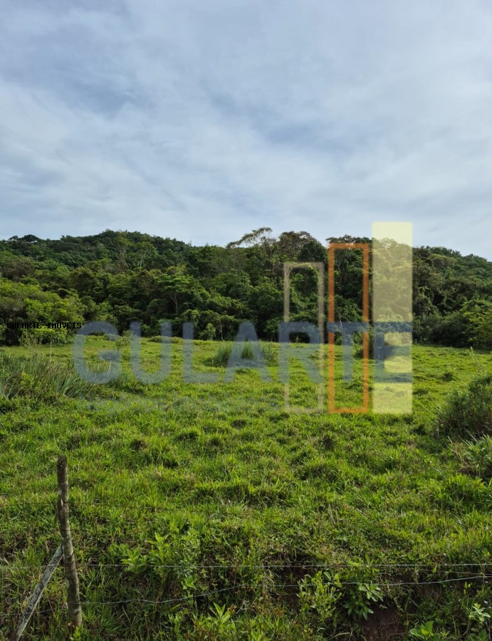 Terreno, 10 hectares - Foto 4