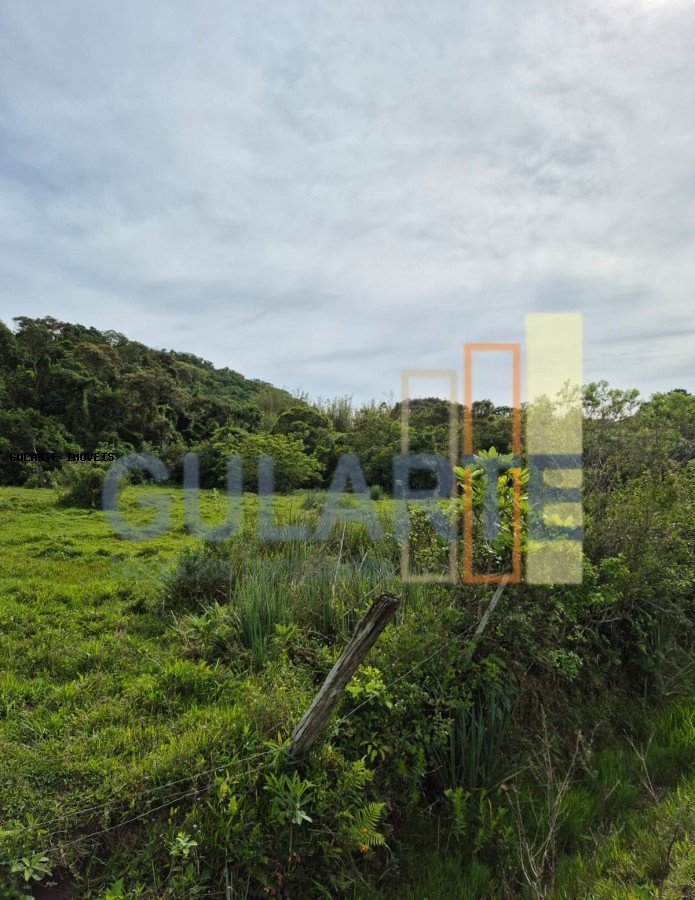 Terreno, 10 hectares - Foto 2