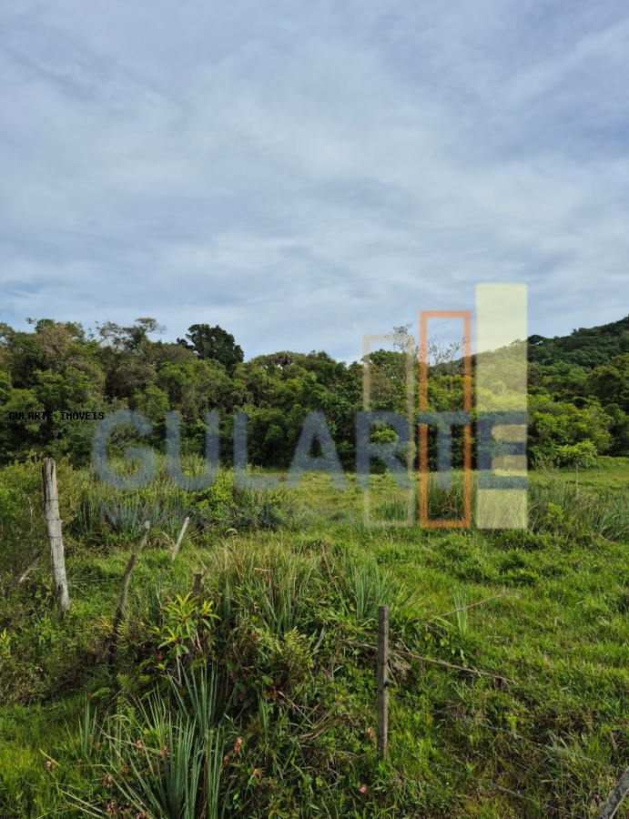 Terreno, 10 hectares - Foto 3