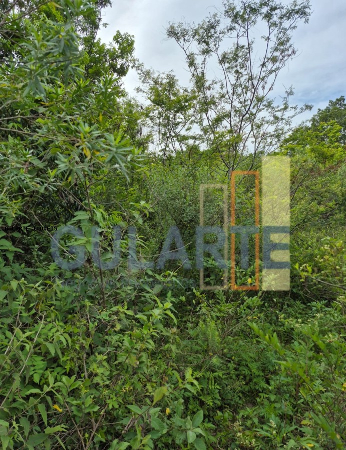 Terreno, 10 hectares - Foto 7