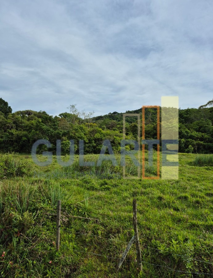 Terreno, 10 hectares - Foto 5