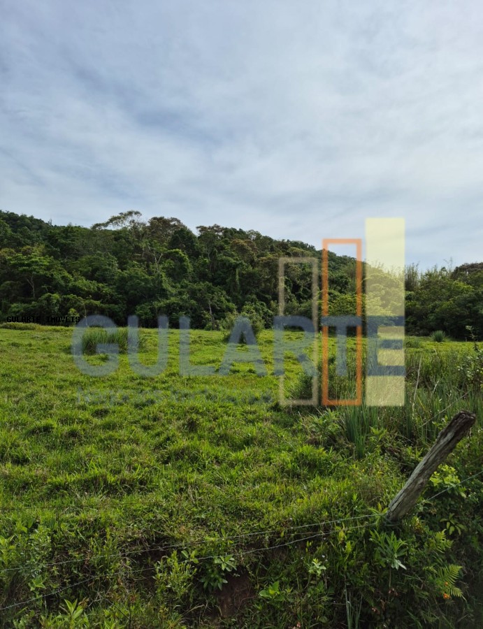 Terreno, 10 hectares - Foto 6