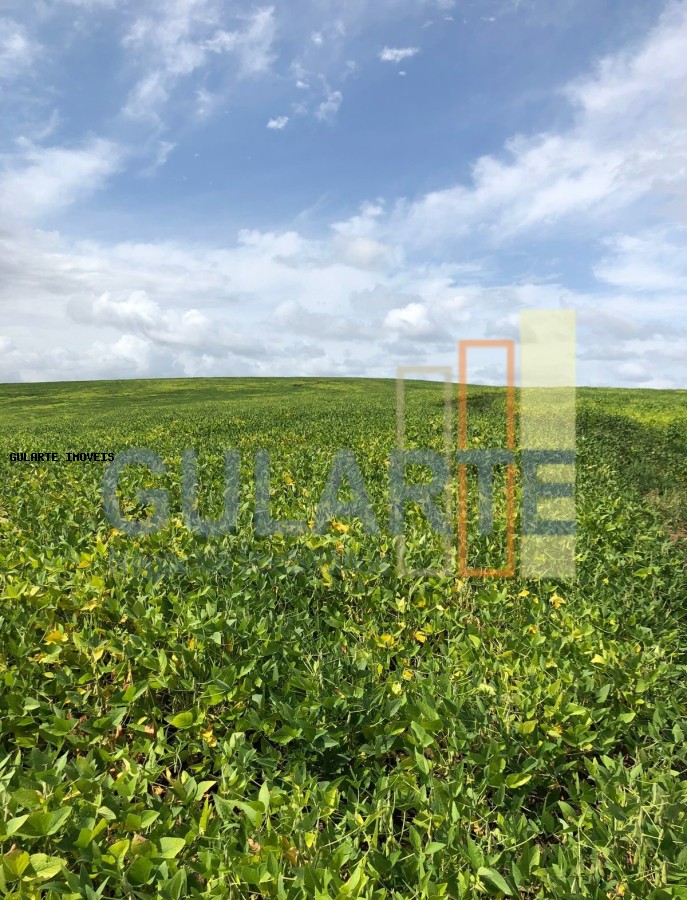 Fazenda, 930 hectares - Foto 2