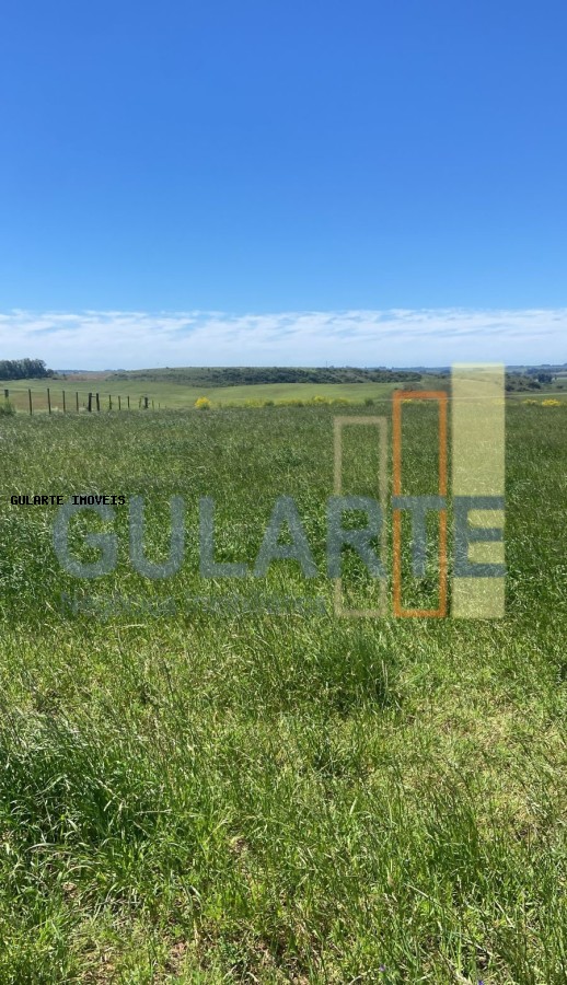 Fazenda, 930 hectares - Foto 1