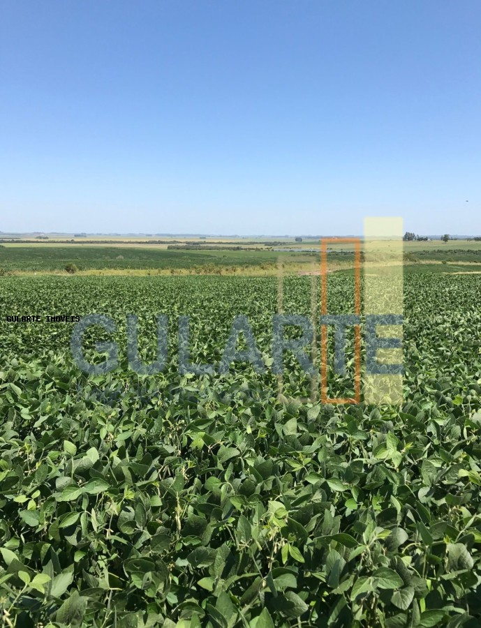 Fazenda, 930 hectares - Foto 4