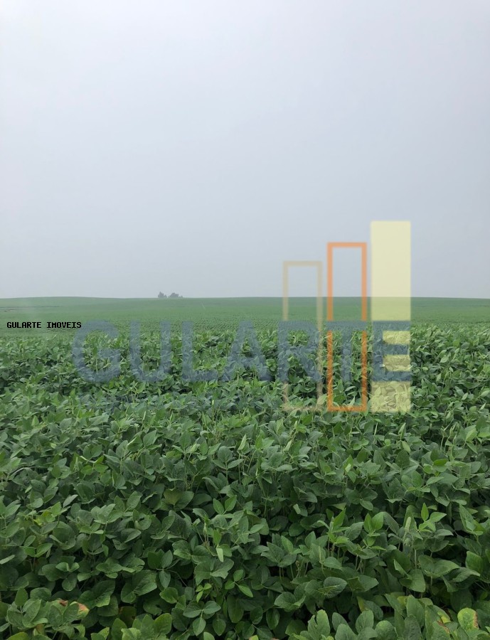 Fazenda, 930 hectares - Foto 5